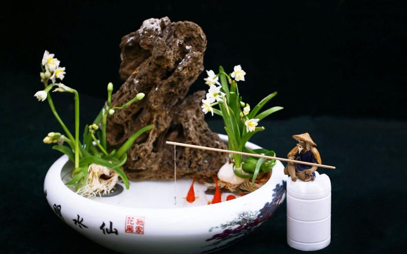 12      綠植盆景.jpg