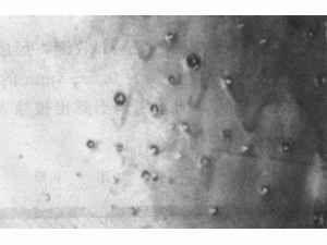 11   漆面縮孔.jpg